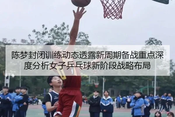 陈梦封闭训练动态透露新周期备战重点深度分析女子乒乓球新阶段战略布局